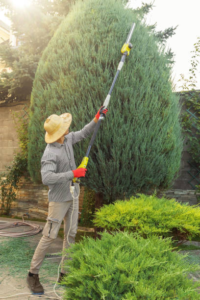 Best Lawn Watering Services  in Bellmawr, NJ